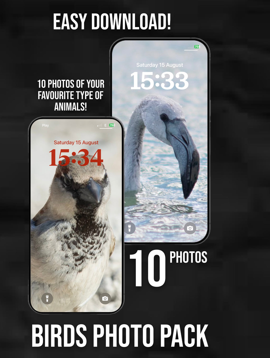 birds wallpaper pack